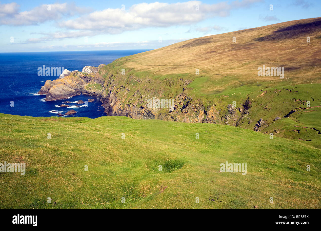 Cliffs coastal scenery, Hermaness, Unst, Shetland islands, Scotland ...