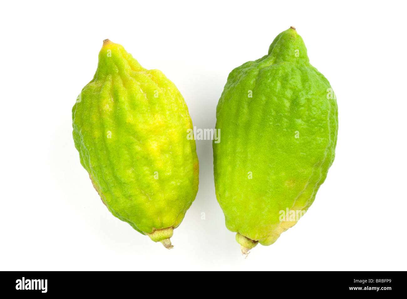 two kaffir limes on a white background Stock Photo
