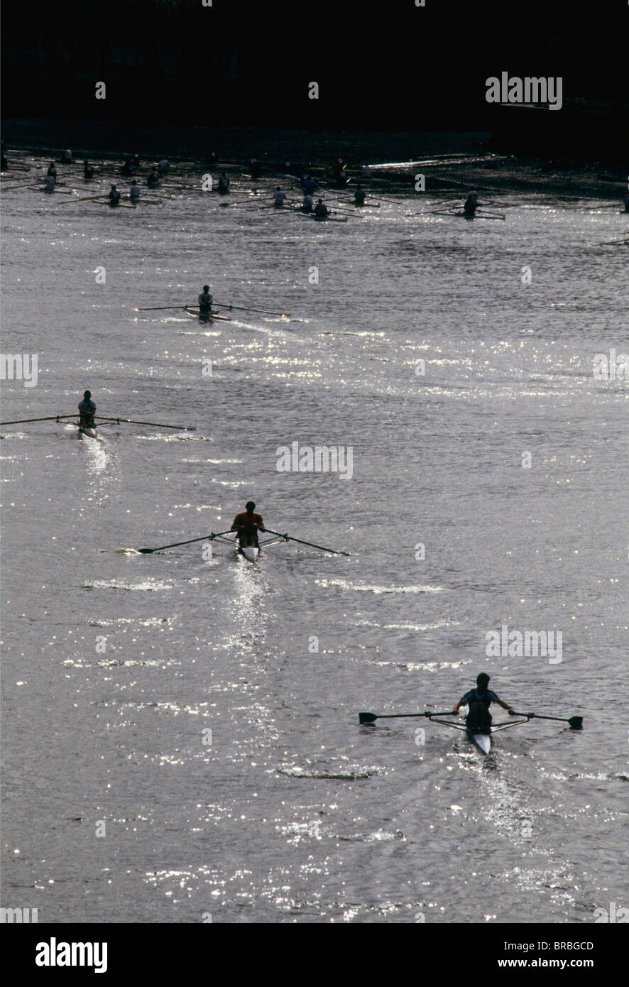 Single skull rowers along the River Thames at Twilight Stock Photo - Alamy
