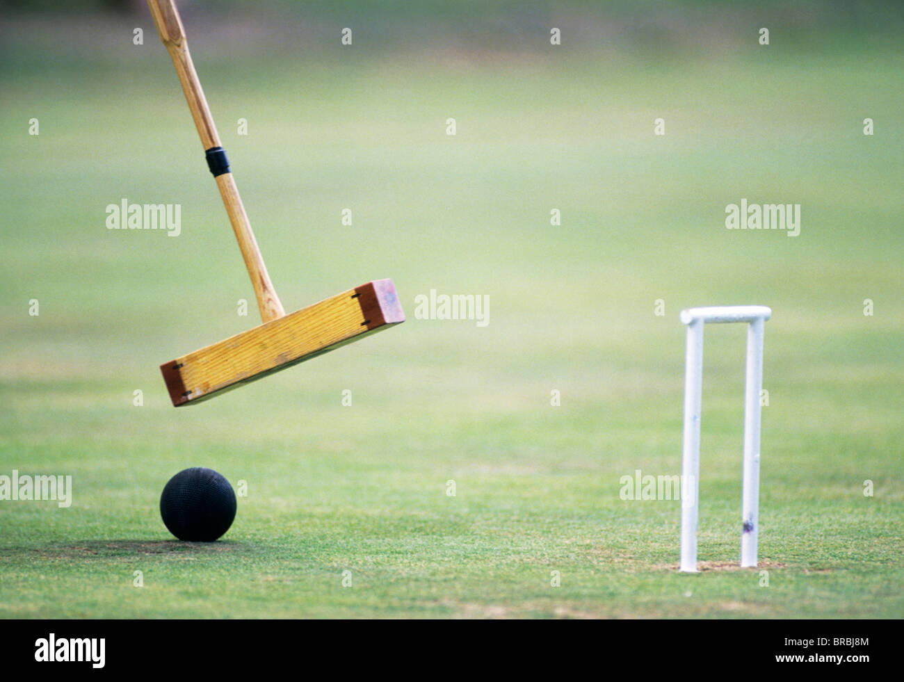 Croquet mallet about to hit ball Stock Photo Alamy
