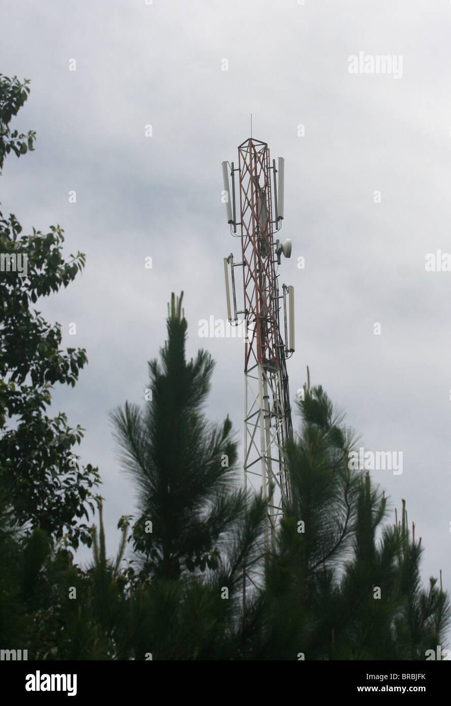 Telecoms mast in a remote rural forest area in Uganda Stock Photo