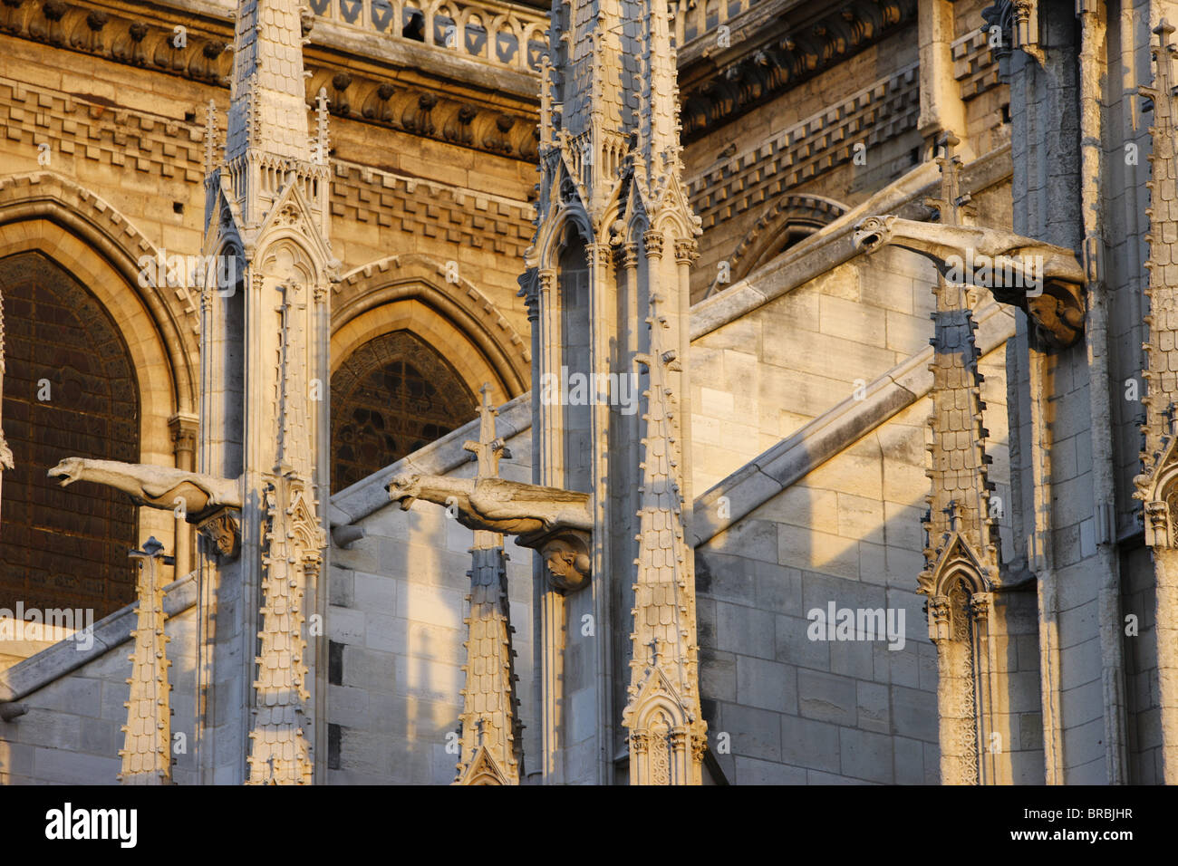 Gargoyles, Notre Dame Cathedral, UNESCO World Heritage Site, Paris, France Stock Photo