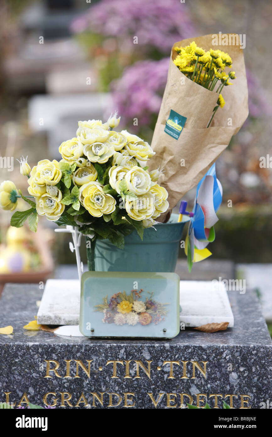 Rin Tin Tin's grave, Asnieres animal cemetery, Asnieres, Hauts-de-Seine, France Stock Photo