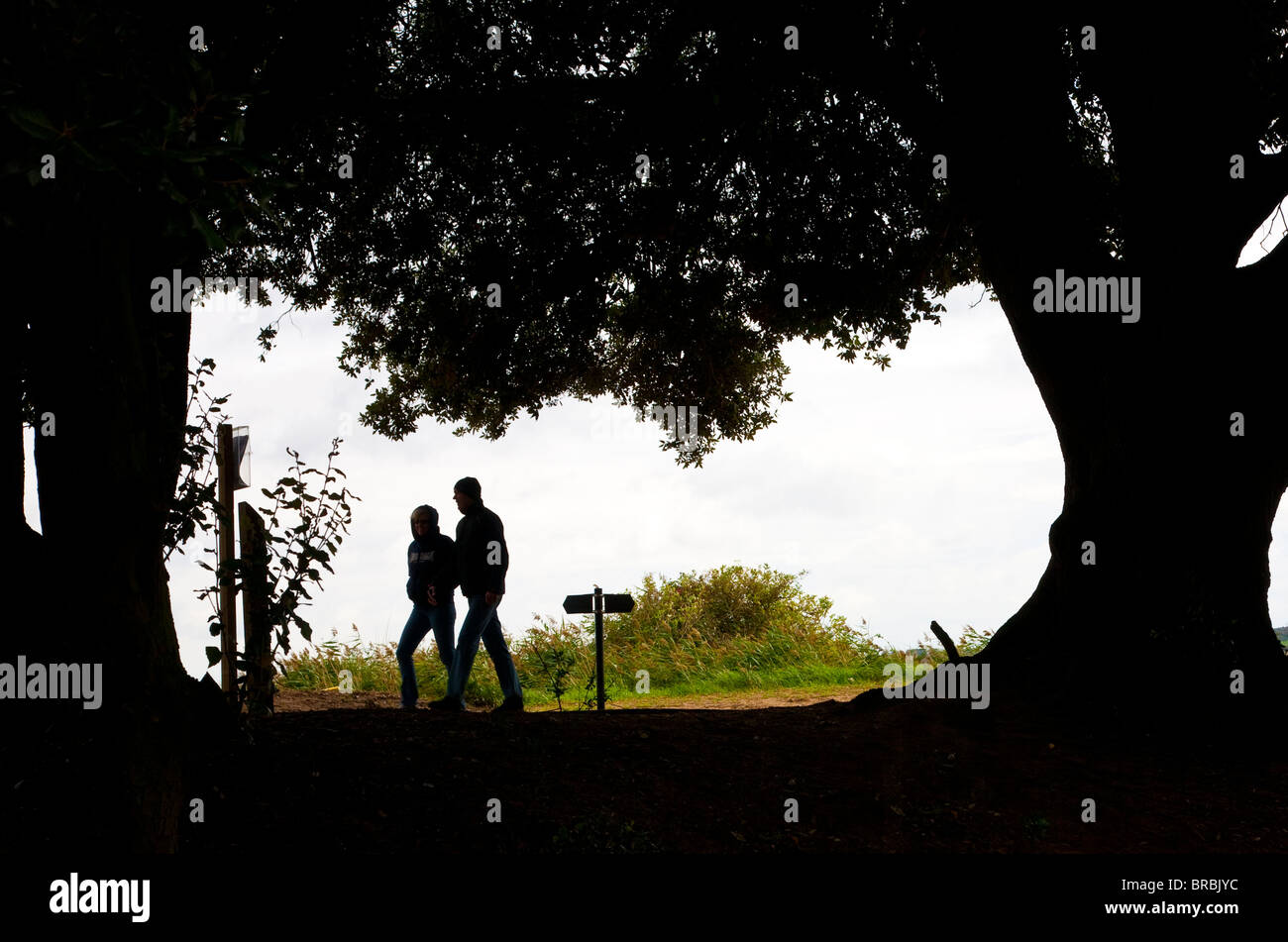 Silhouette of a couple on a country walk Stock Photo