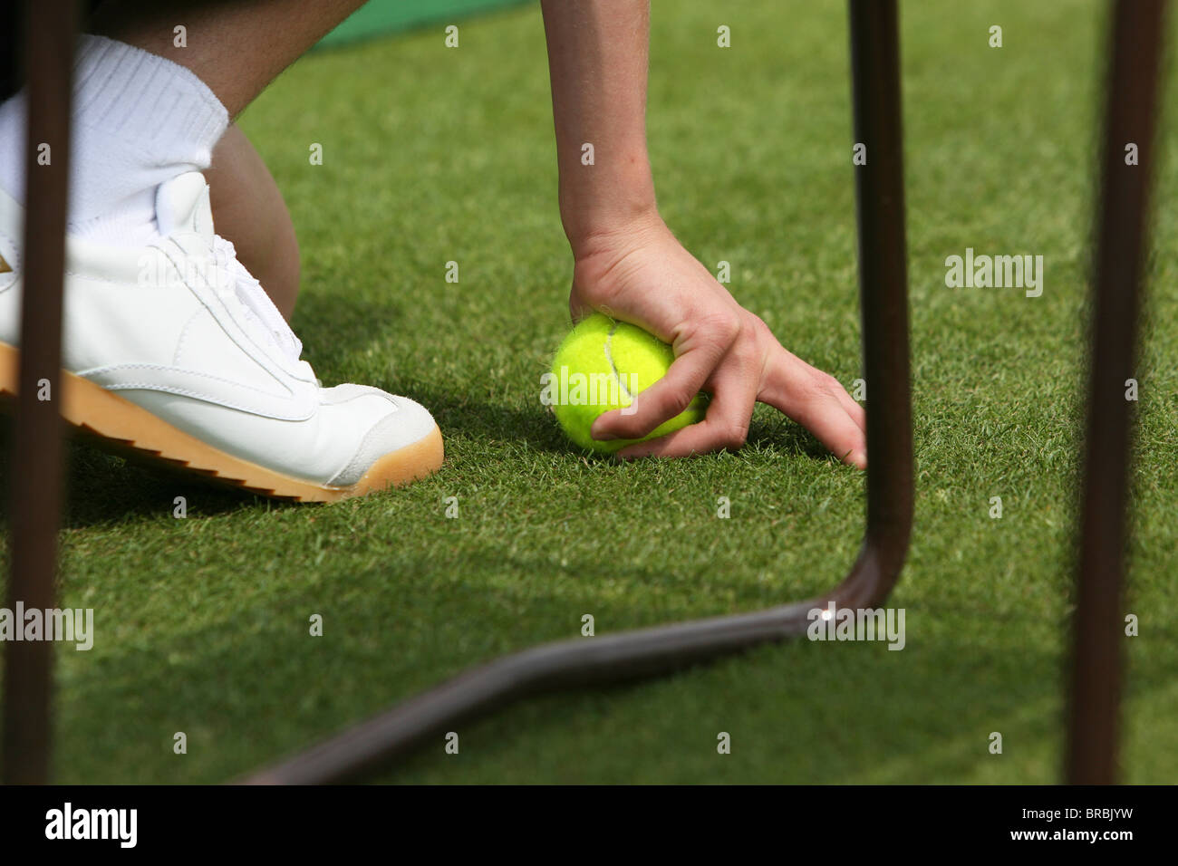 Tennis ball boy kneeling down on grass with a ball in their hand Stock