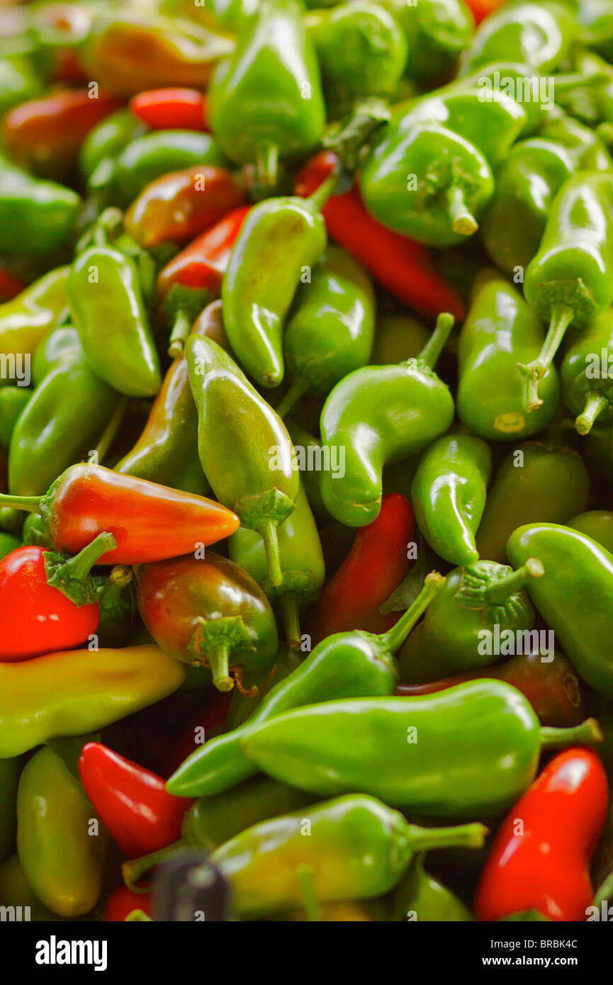A pile of Red and Green Jalapeño Peppers for sale at the farmers market ...