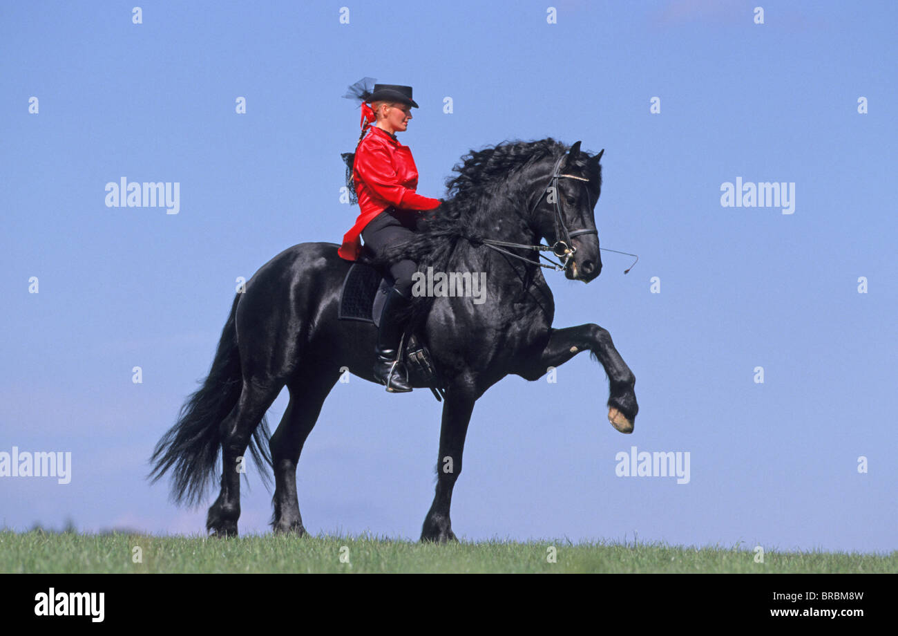 Spanish horse rider hires stock photography and images Alamy