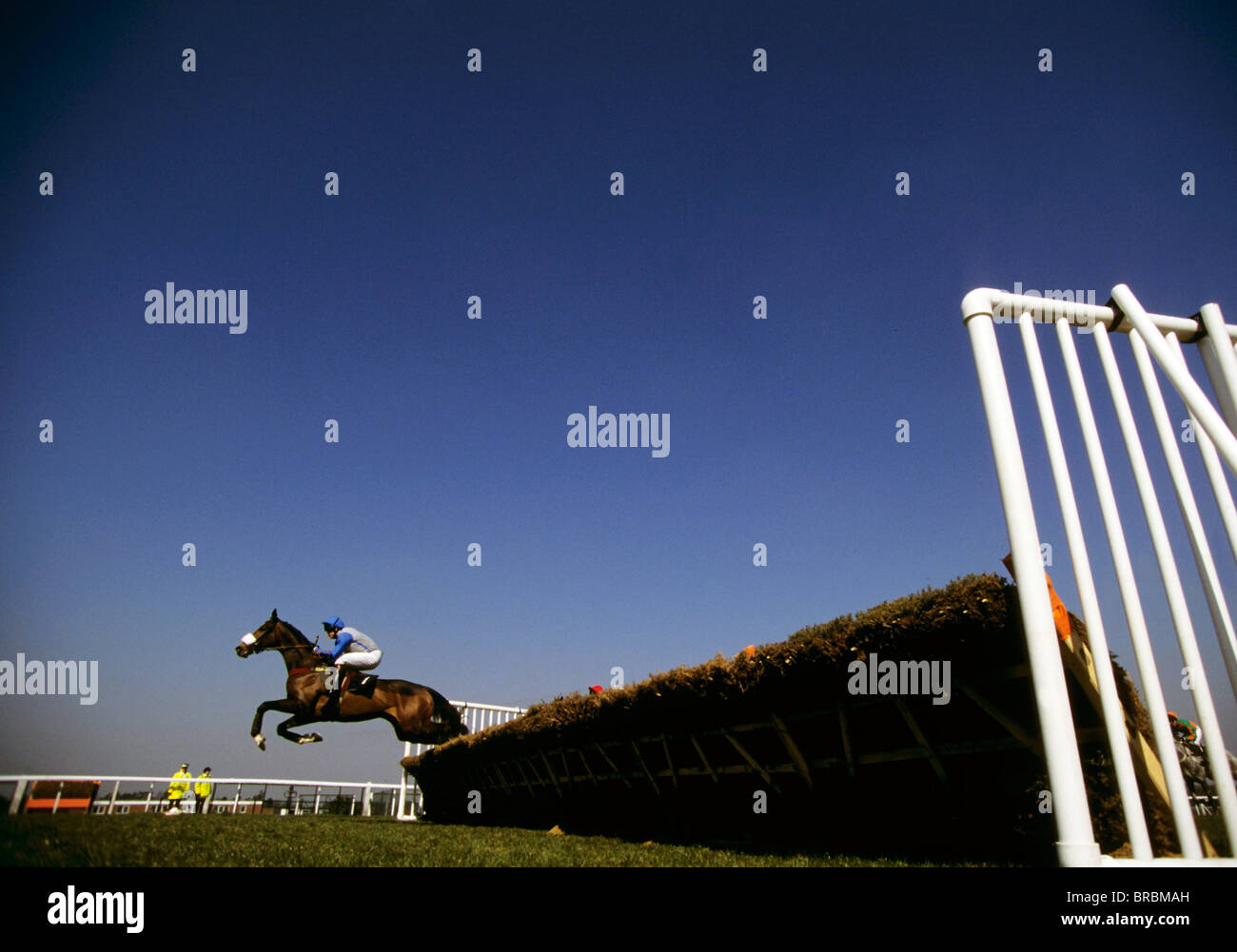 Horse and jockey clear steeple chase fence Stock Photo