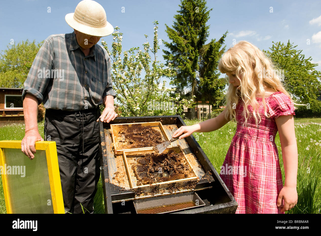 A beekeeping girl with her grandfather Stock Photo Alamy