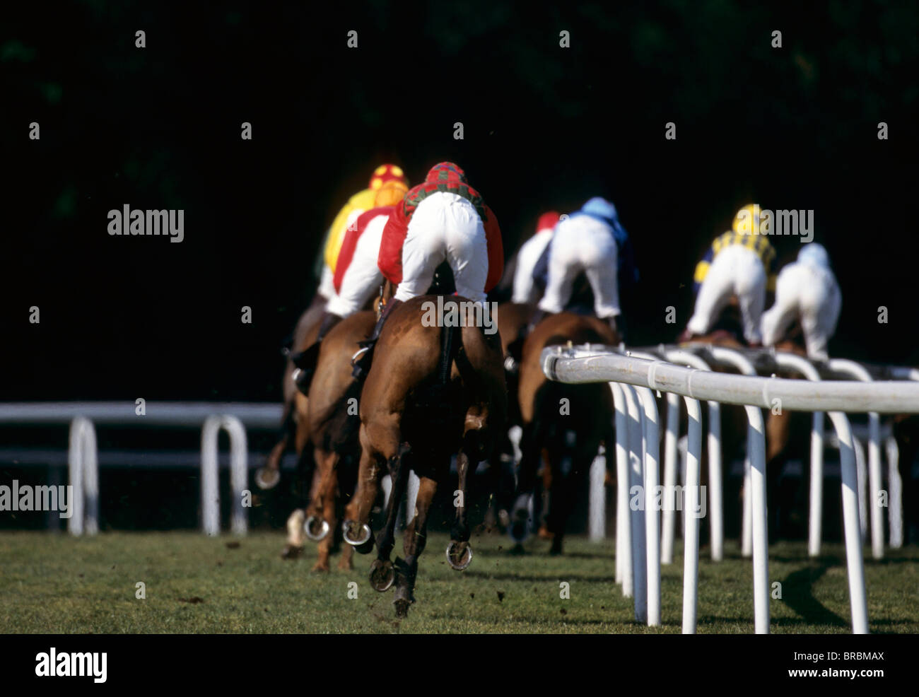 Rear view as a group of horses at race take right turn on railings Stock Photo