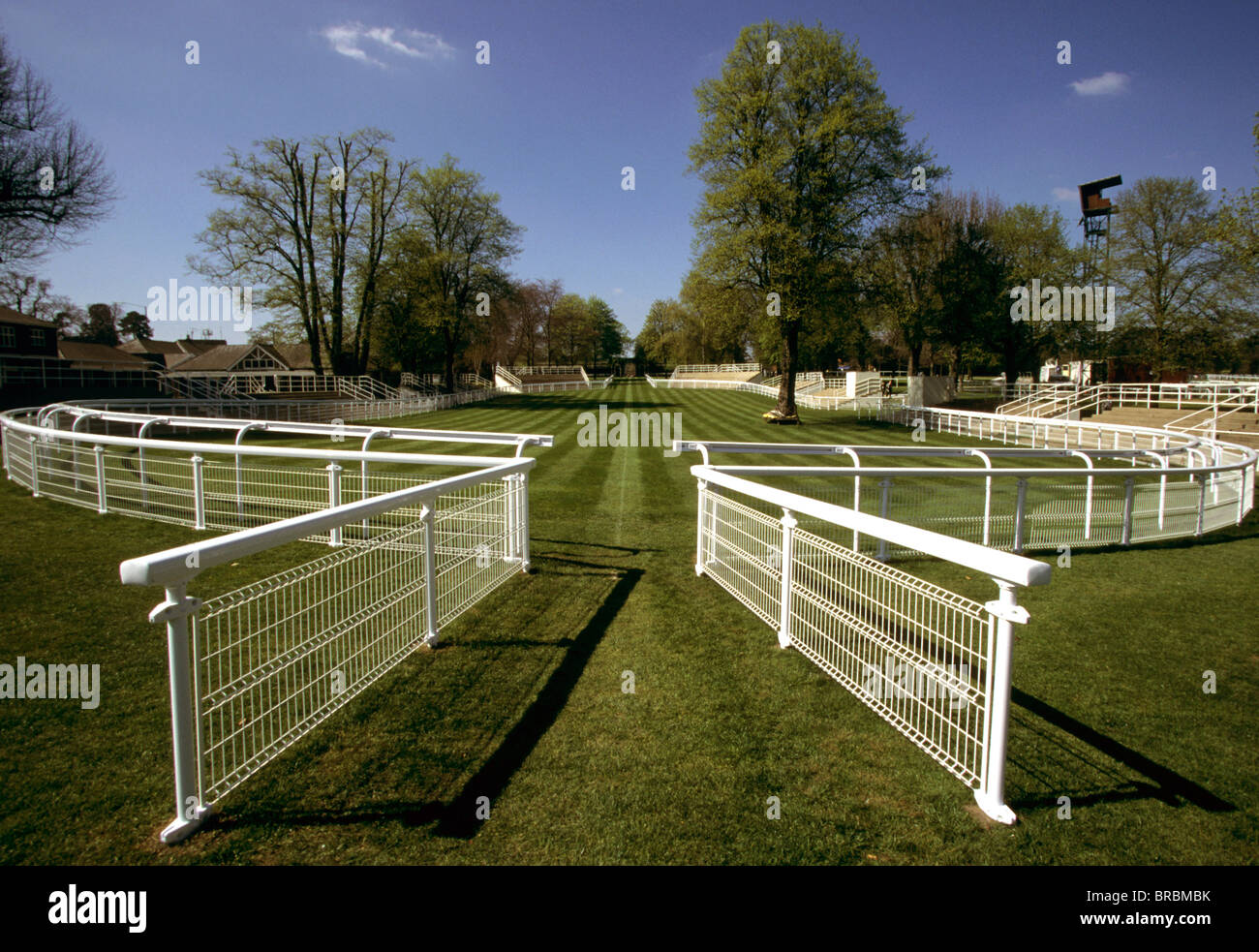 Railings around parade ring at a horse race course Stock Photo Alamy