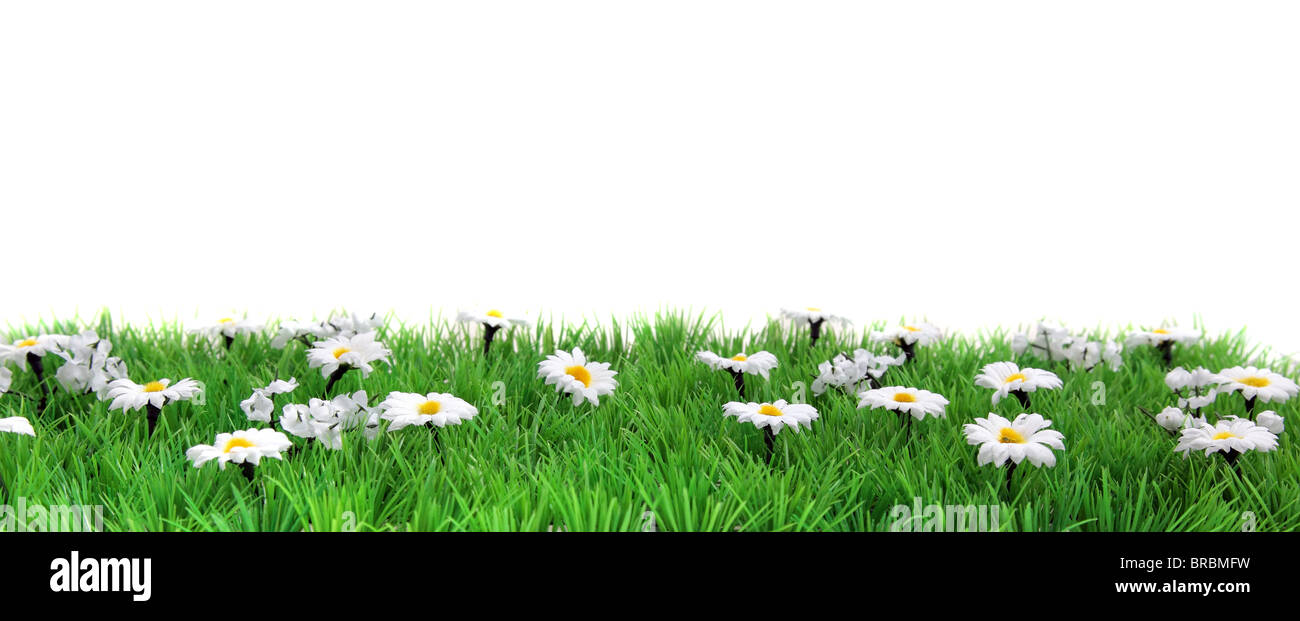 A Flower Meadow Banner In Front Of A Plain White Background Stock