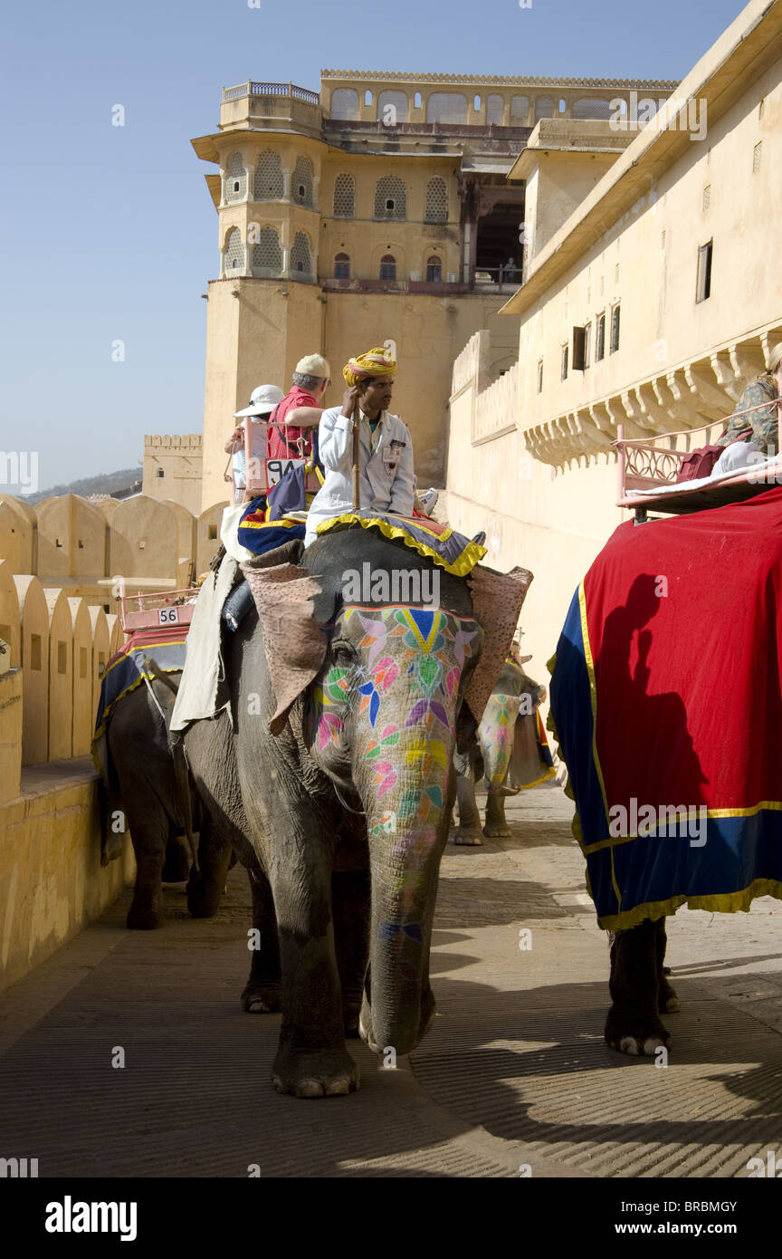 Elephants carrying tourists to the Amber Fort in Jaipur, Rajasthan, India Stock Photo