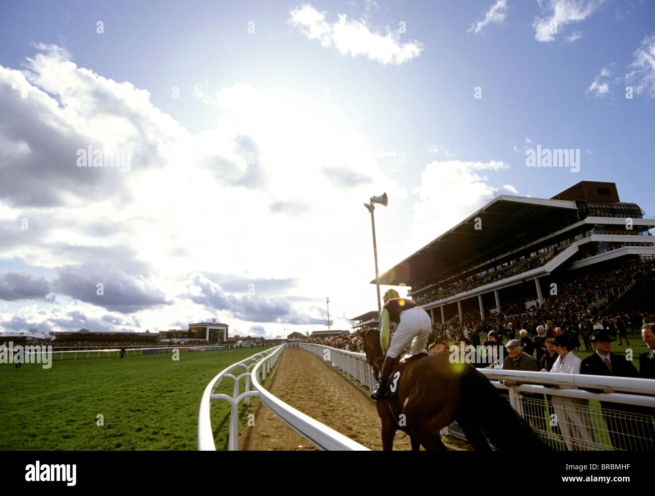 Horse and jockey warm up along training tack alongside race course Stock Photo