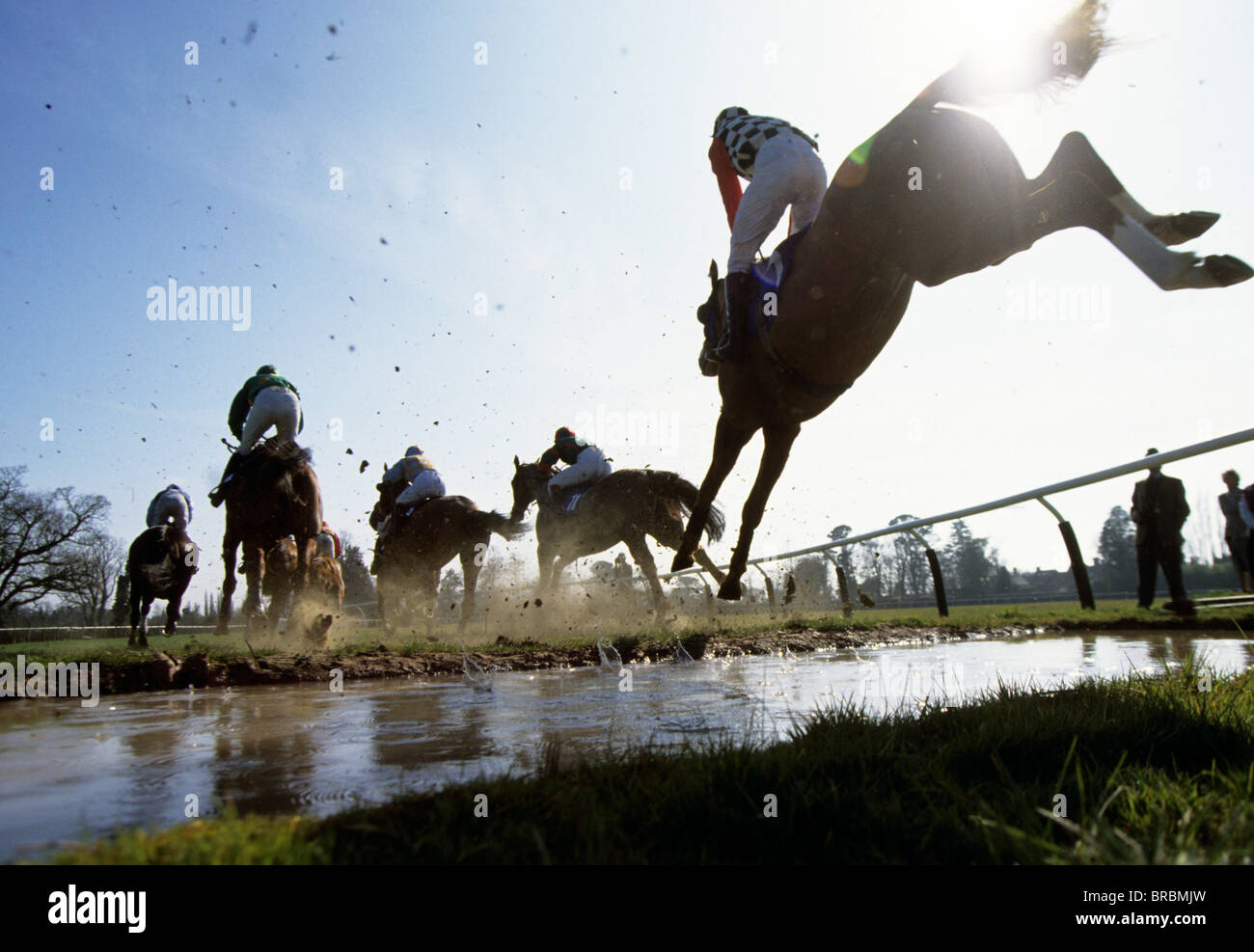 Horses take a water jump in steeplechase race Stock Photo Alamy