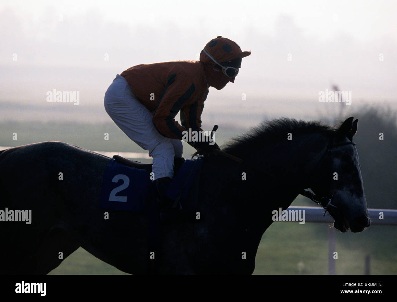 Jockey pulls up his horse at end of horse race Stock Photo Alamy