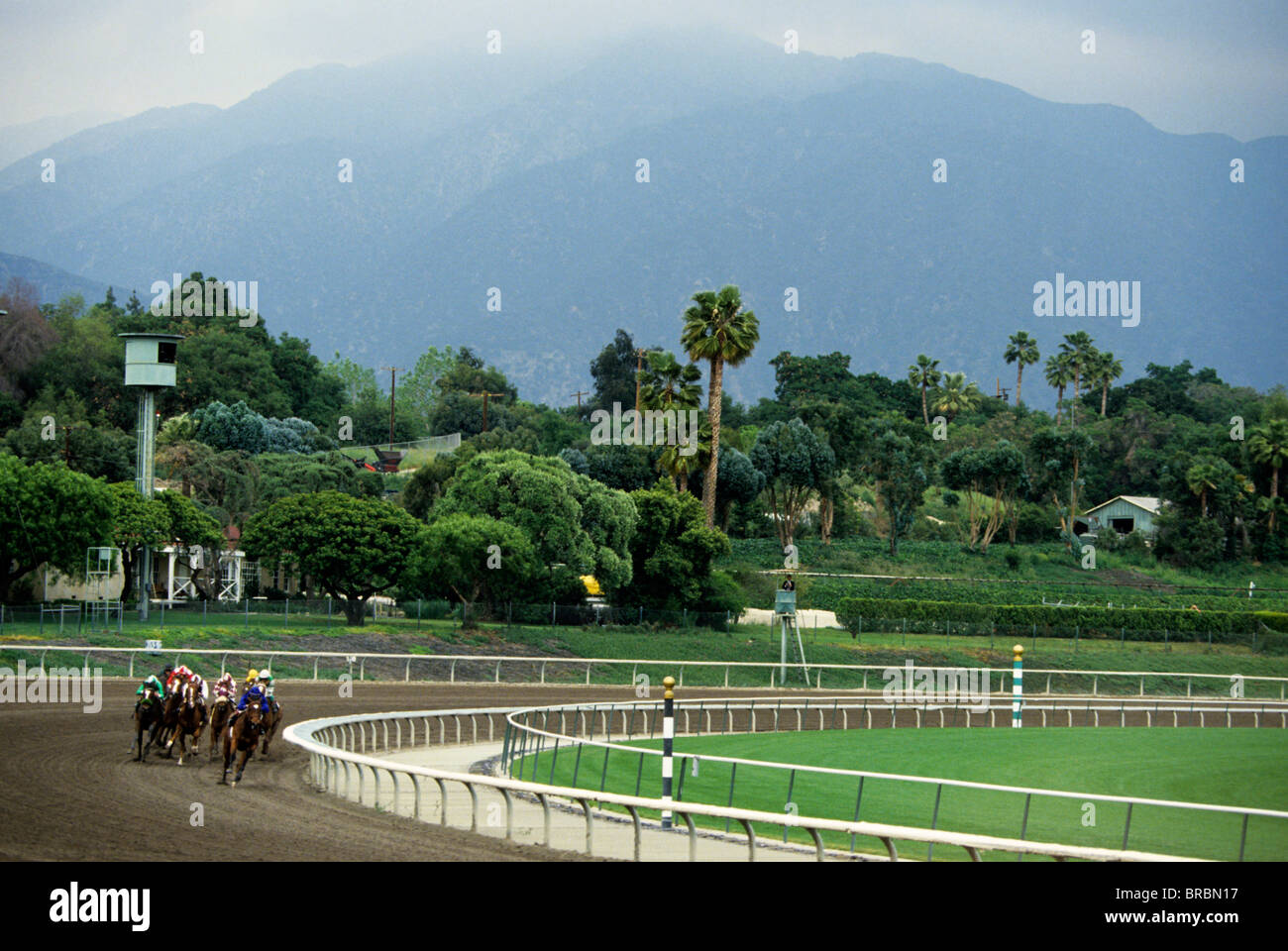 Horses race around corner at race track with picturesque background