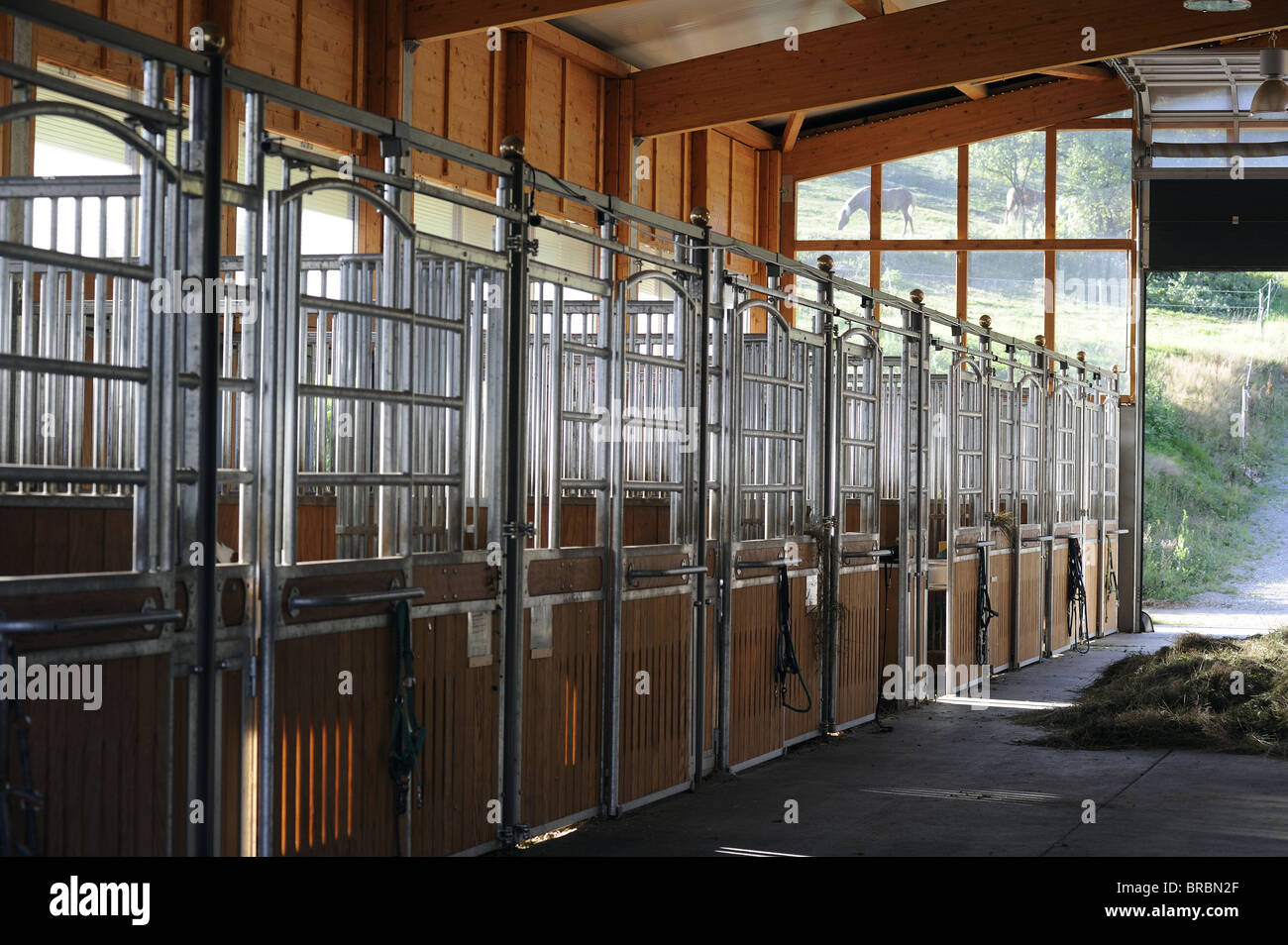 Interior of a horse stable (Equus ferus caballus) showing boxes. Stock Photo