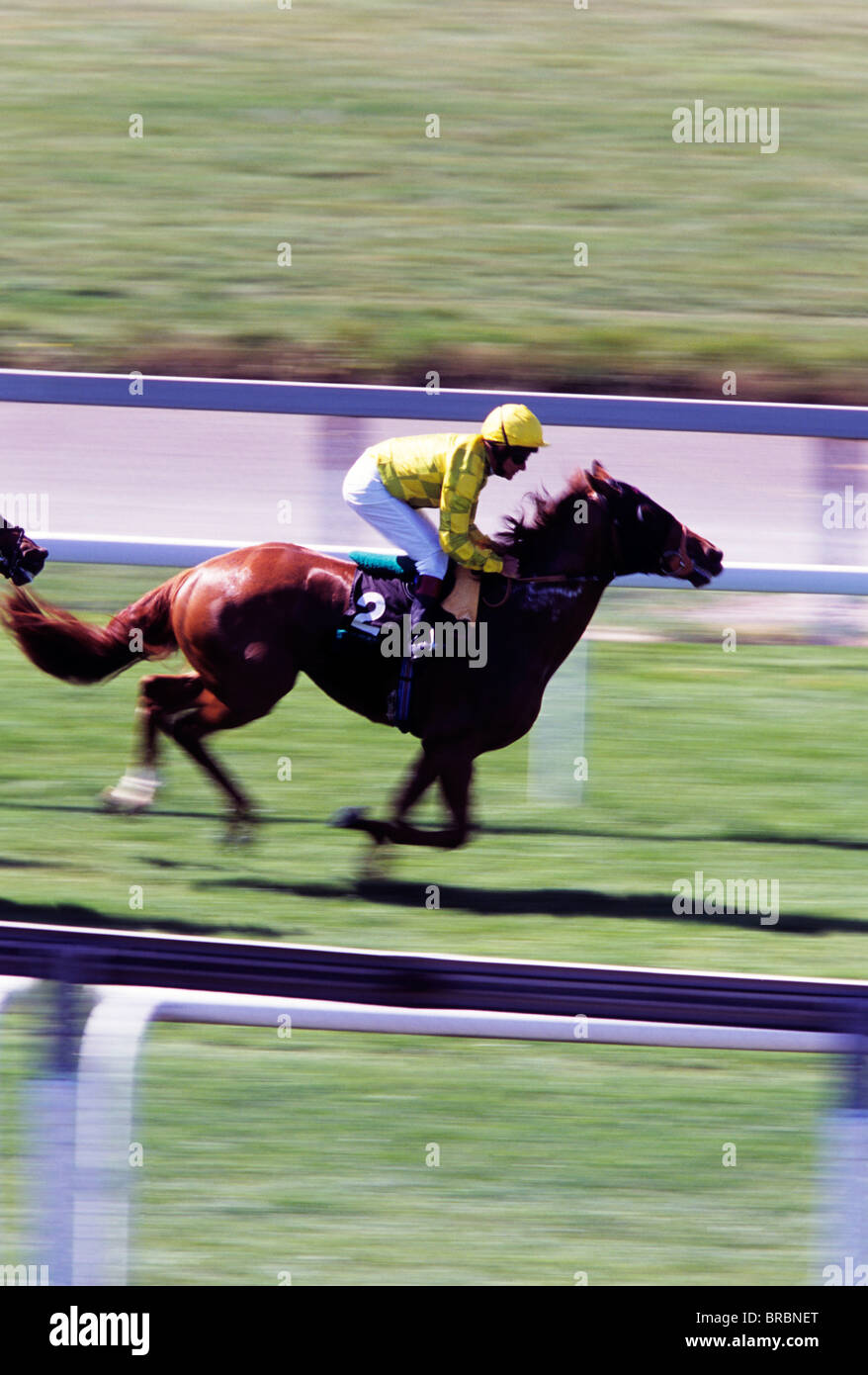 Jockeys rides his horse across the finish line Stock Photo