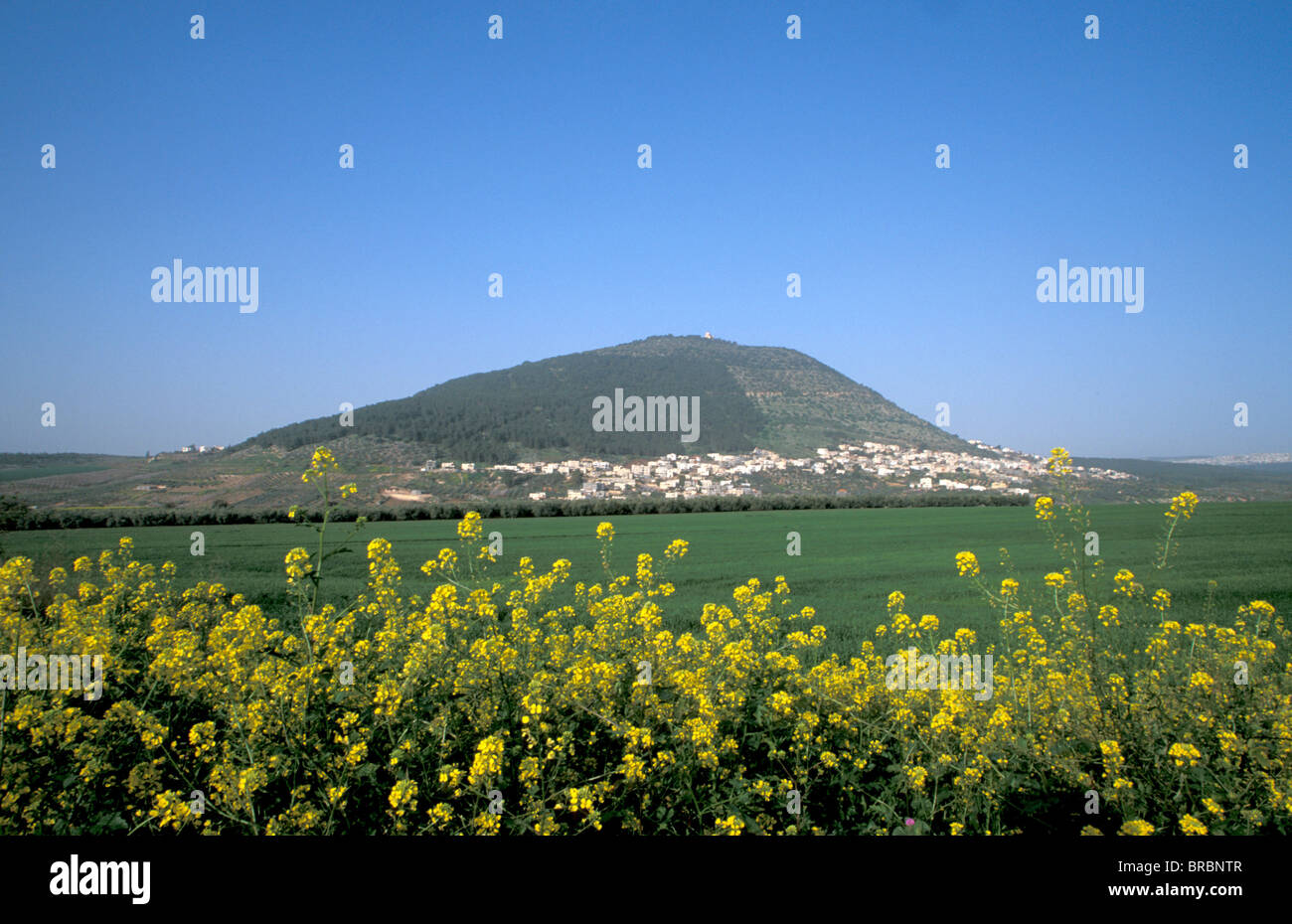 Mount Tabor at the heart of Jezreel valley, Israel Stock Photo