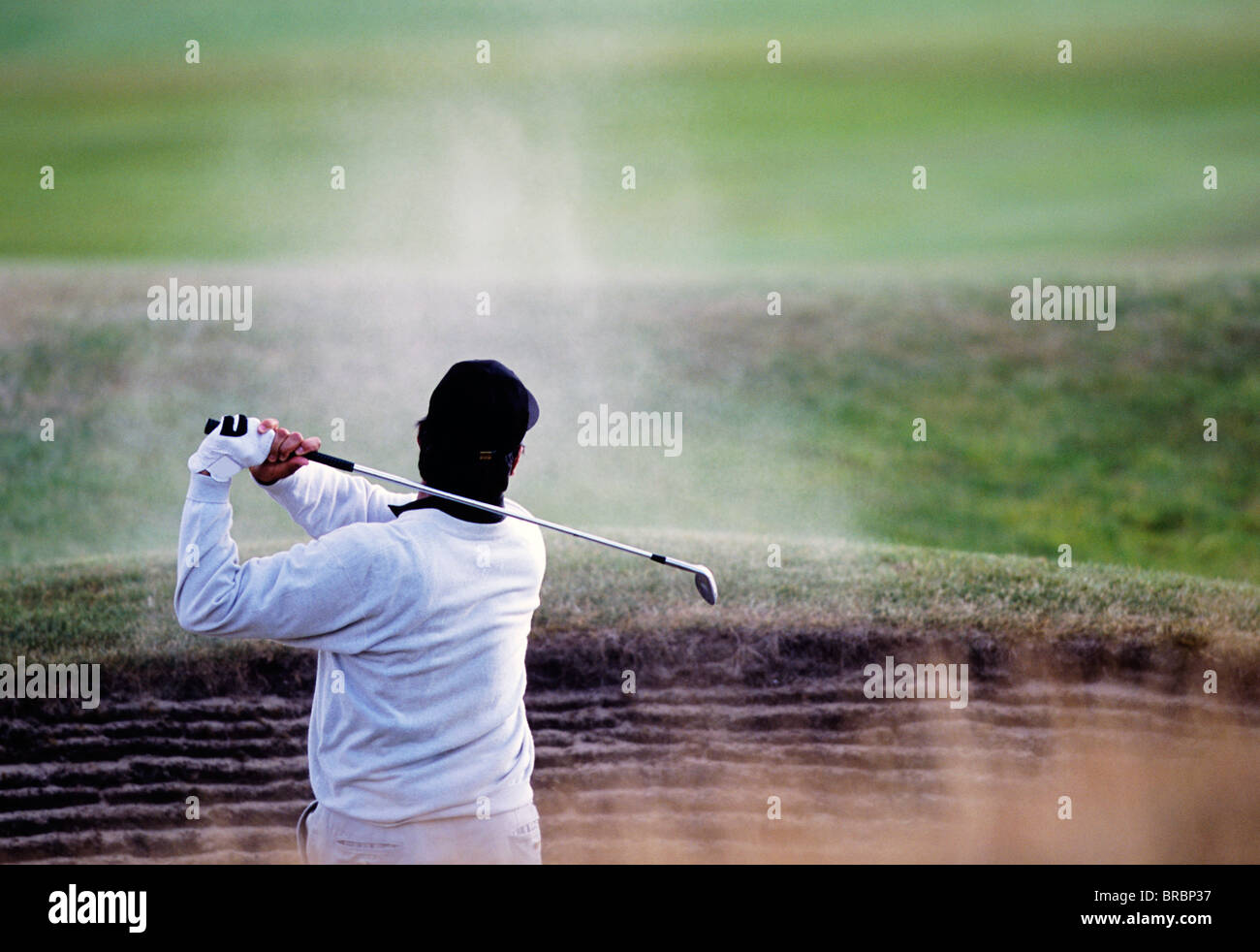 Golfer blasts his ball out of bunker onto green Stock Photo