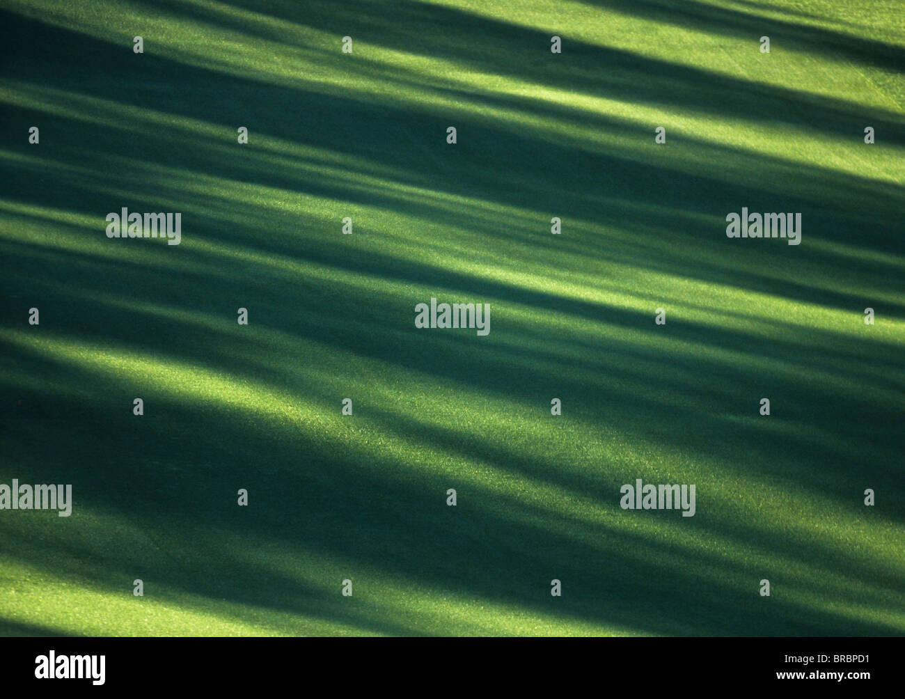 Shadows create lines of design across golf fairway Stock Photo