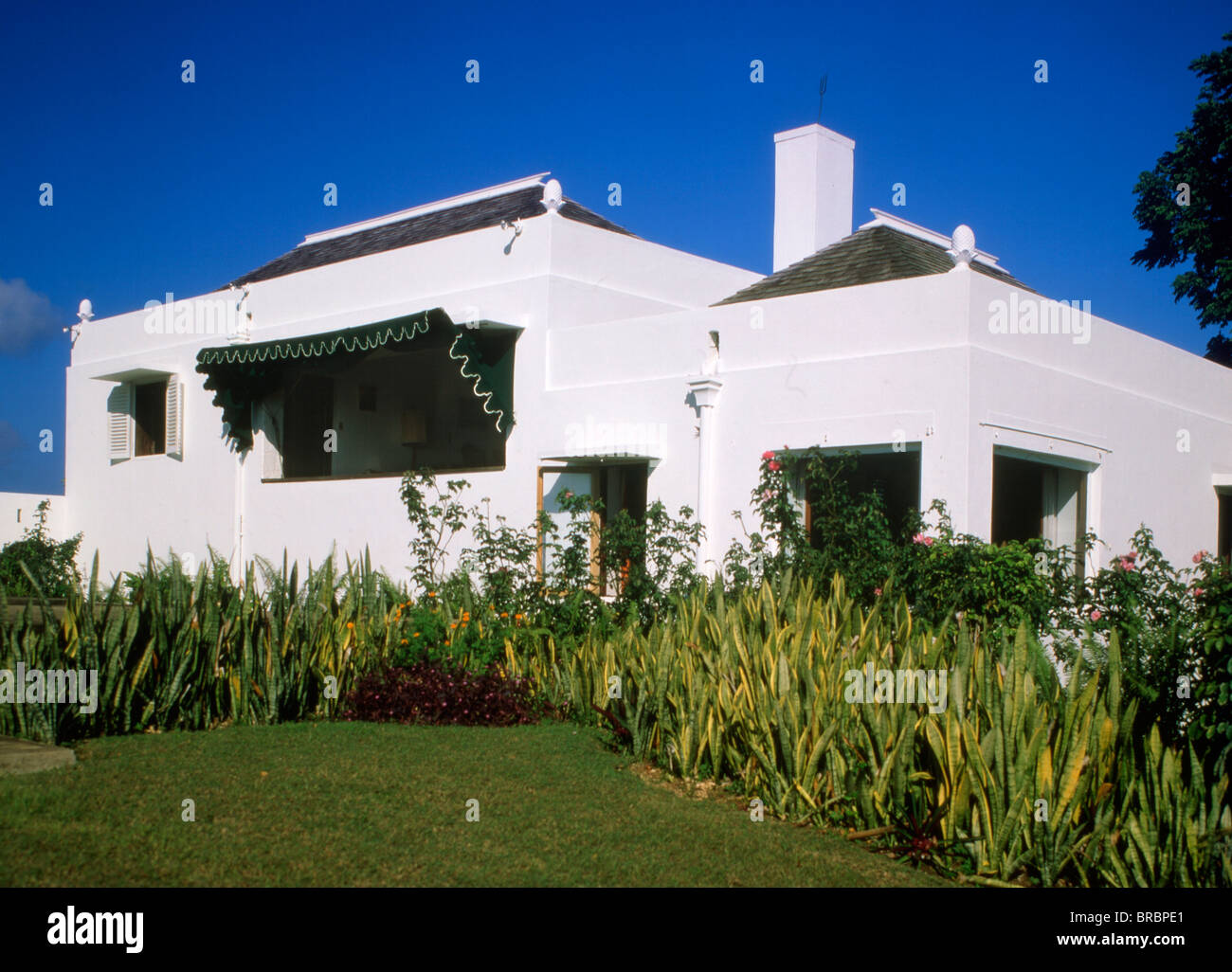 Firefly, Noel Coward's home, North coast, Jamaica, West Indies, Caribbean, Central America Stock Photo