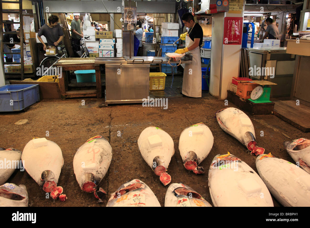 Tuna, Tsukiji fish market, Tokyo, Japan Stock Photo Alamy