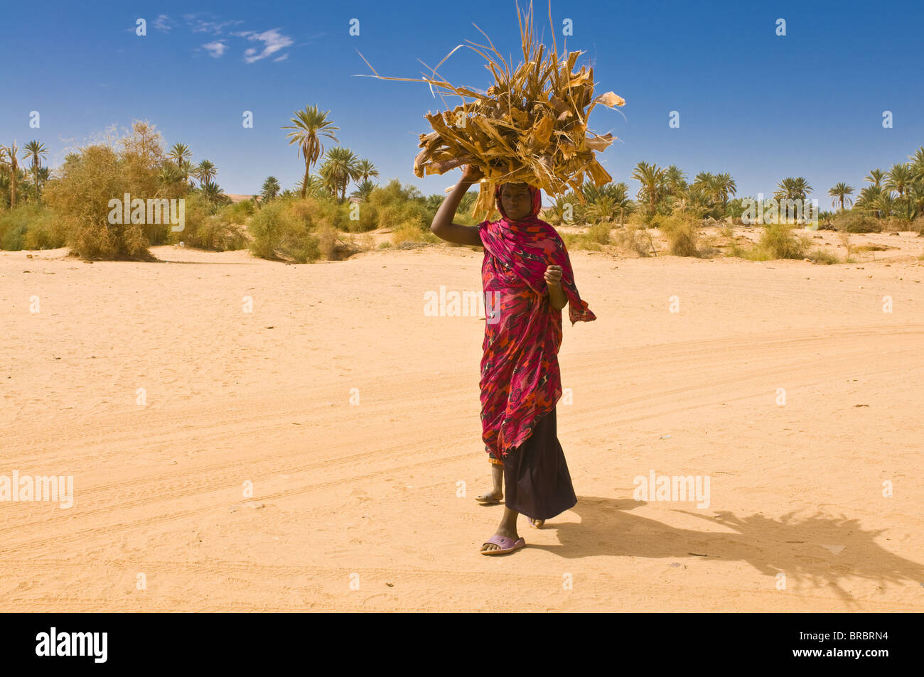 Woman carrying firewood, Ouadane, Mauritania Stock Photo