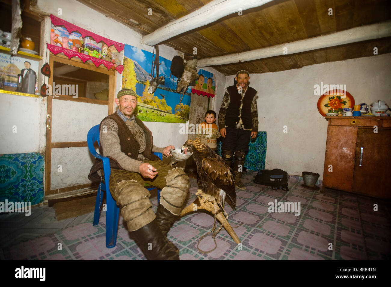 An eagle hunter at home with his eagle in Bayan Olgii, Mongolia, Central Asia Stock Photo