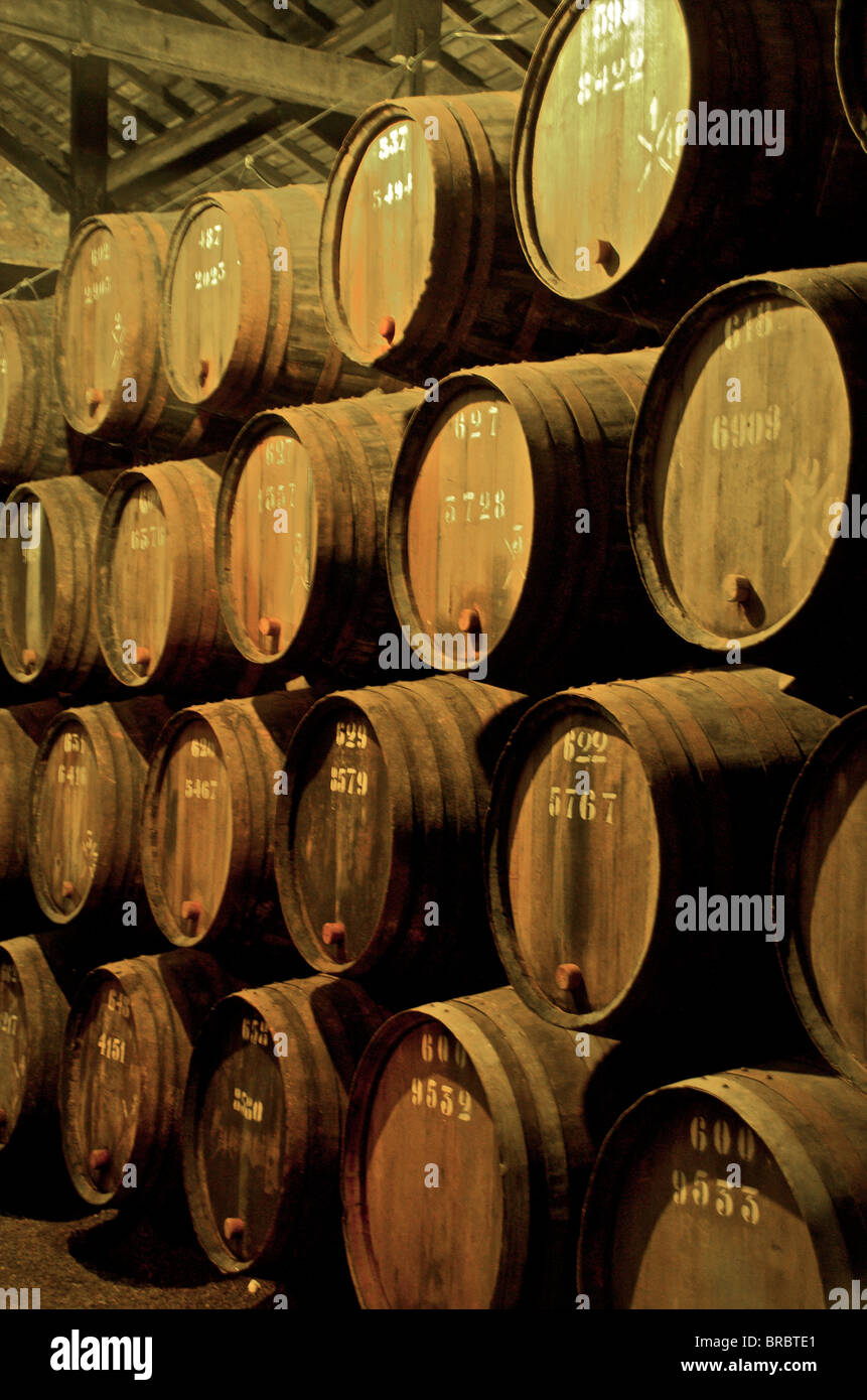 Port wine maturing in barrels in wine cellars, Vila Nova de Gaia, Porto, Portugal Stock Photo