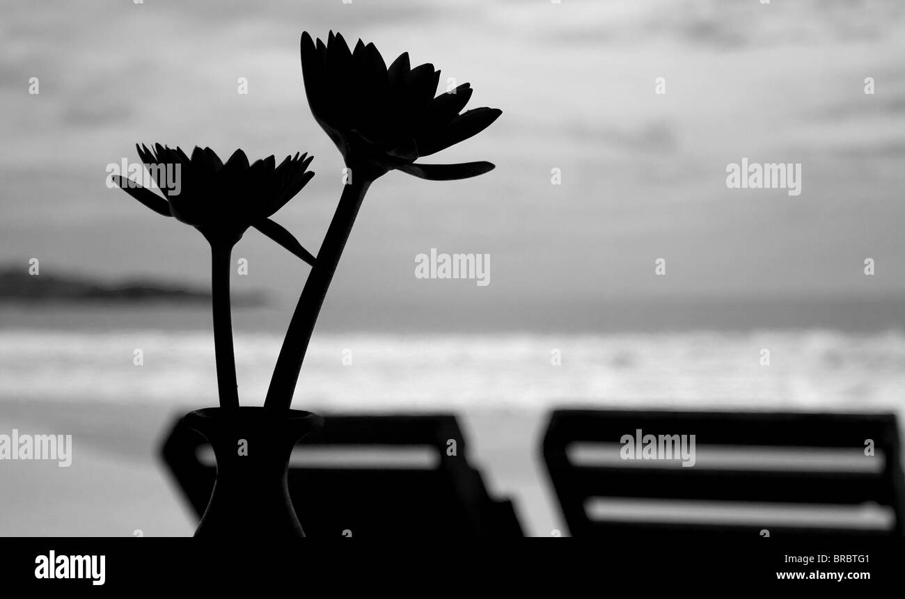 Sri lanka Black and White Stock Photos & Images Alamy