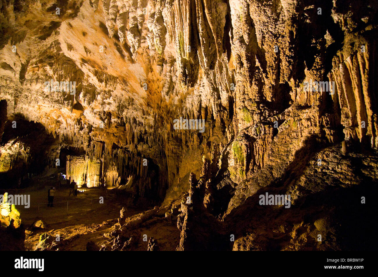 Skocjan Caves UNESCO World Heritage Site Slovenia Stock Photo Alamy skocjan-caves-unesco-world-heritage-site-slovenia-stock-photo-alamy
