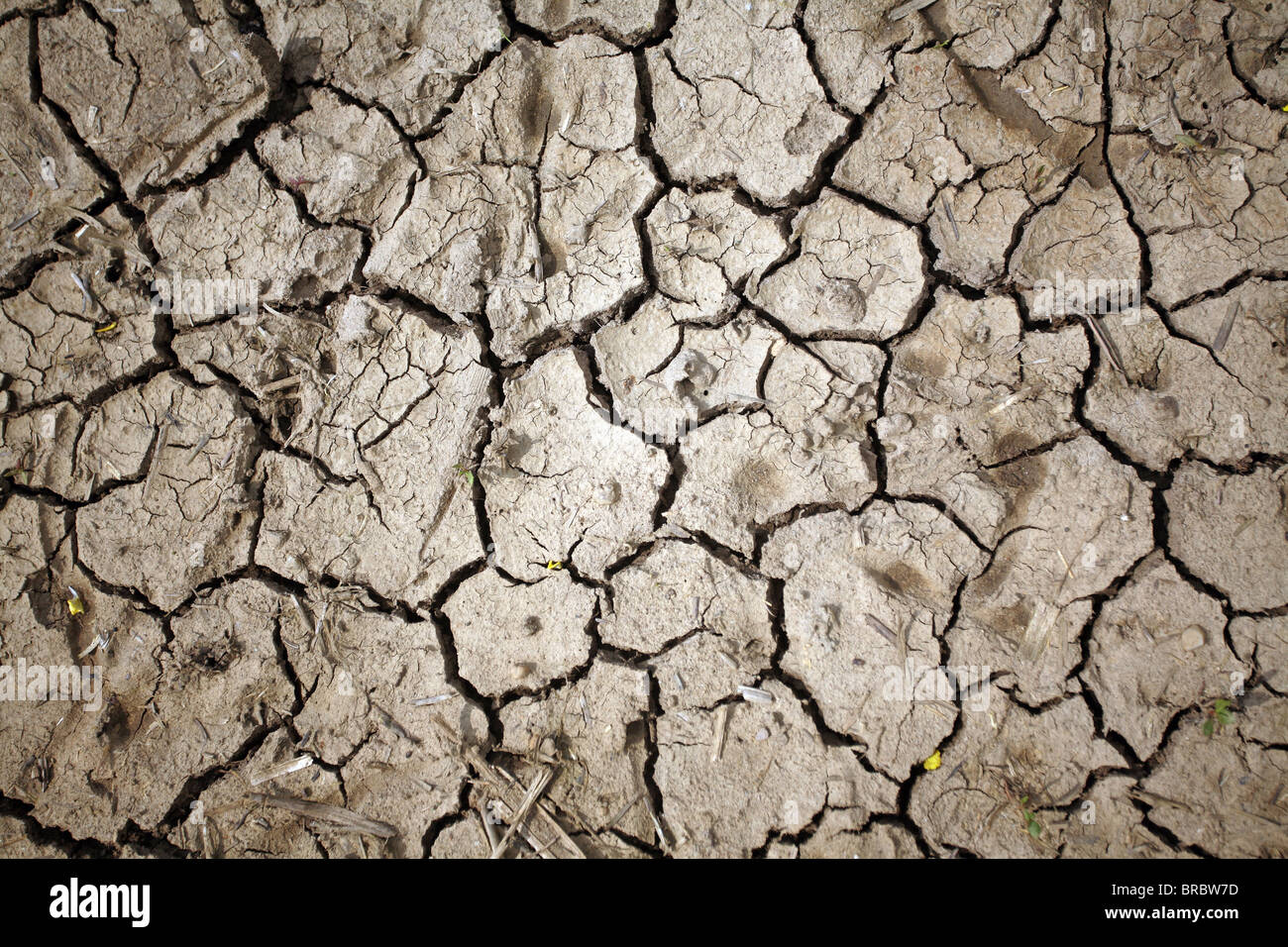 Infertile Land High Resolution Stock Photography and Images Alamy