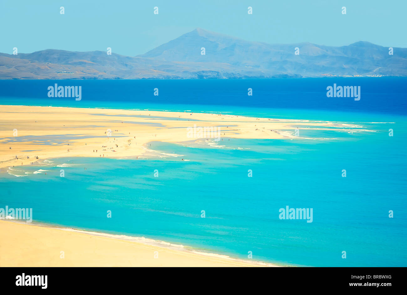 Sotovento Beach, Jandia Peninsula, Fuerteventura, Canary Islands, Spain, Atlantic Stock Photo