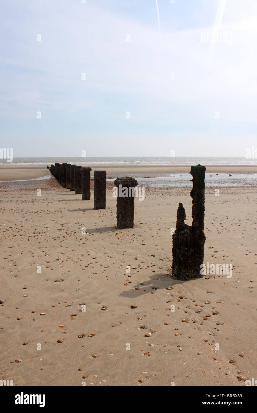 AN OPEN ENGLISH BEACH WITH TIMBER BREAKWATERS. KENT UK Stock Photo Alamy