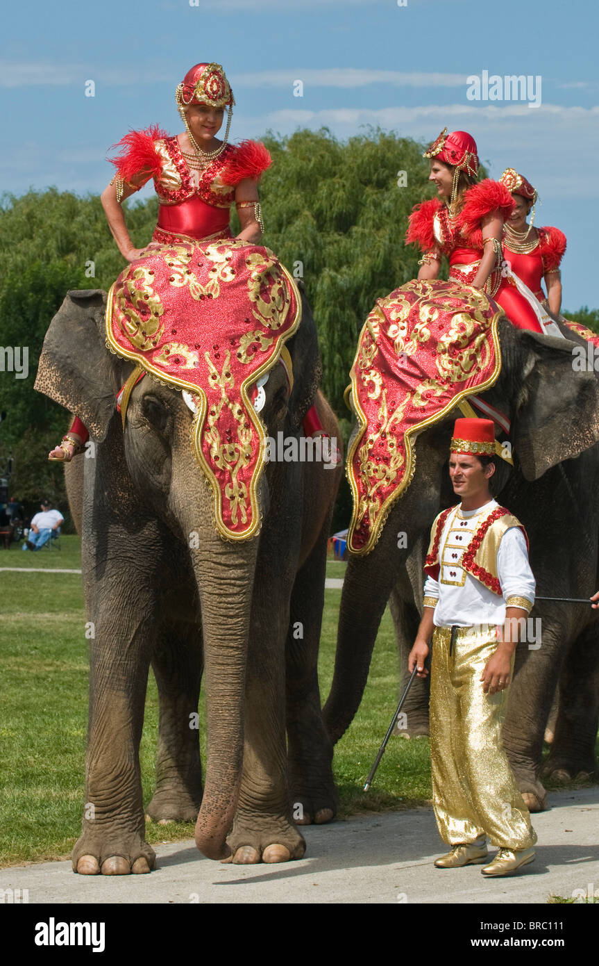 Elephants at the annual Great Circus Parade, Milwaukee, Wisconsin, USA Stock Photo