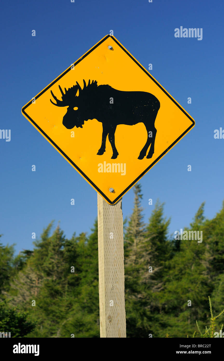 Canadian Highway Sign Warning About Moose On The Road Stock Photo