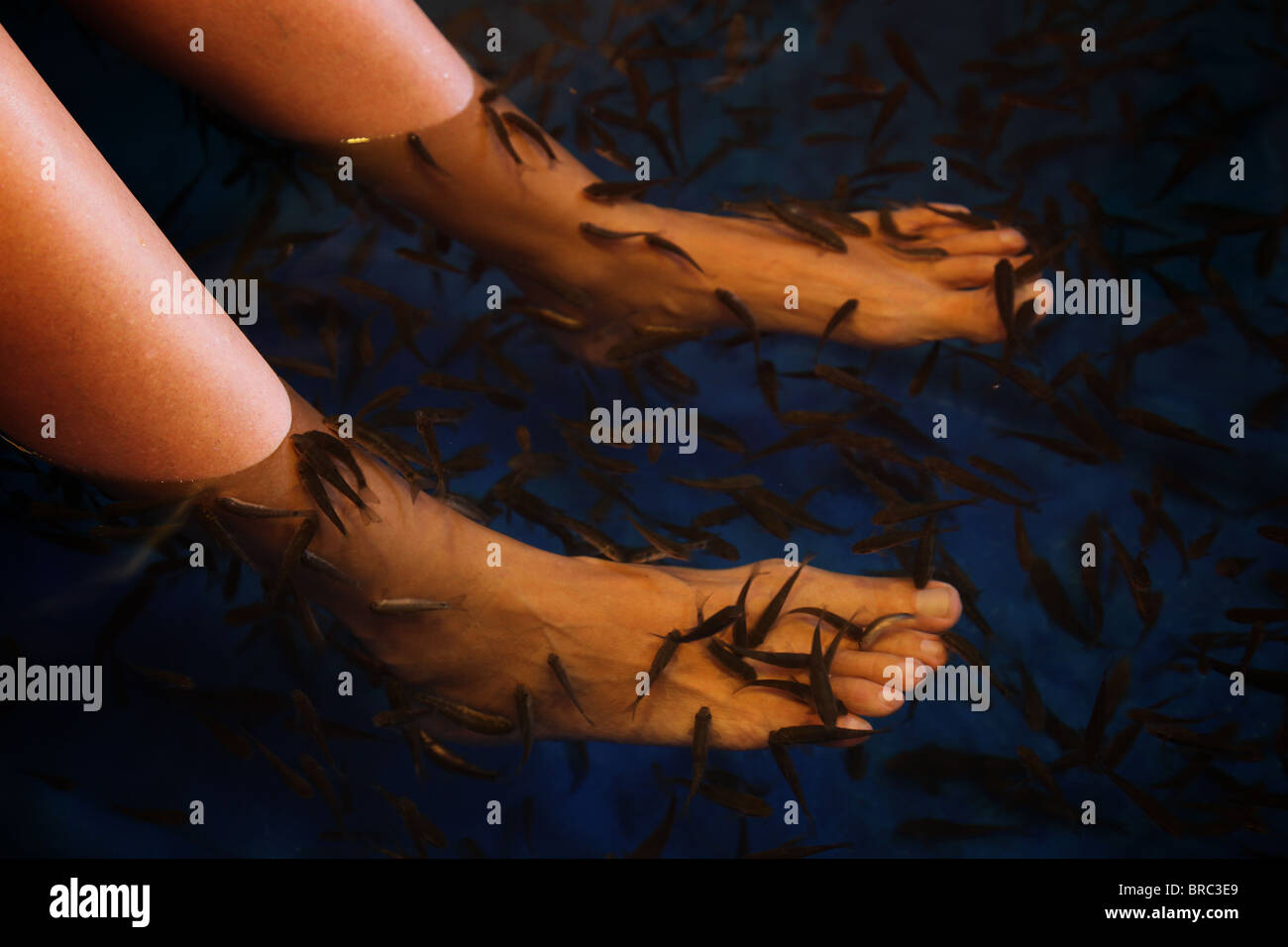 Fish foot bath High Resolution Stock Photography and Images Alamy