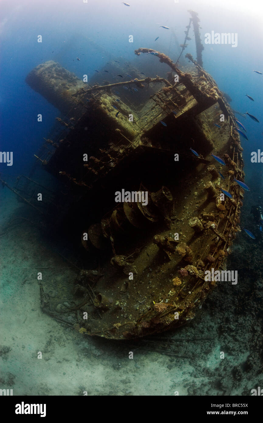 The Stern of the wreck of the Ghiannis D Abu Nahas Reef Red Sea Egypt Stock Photo