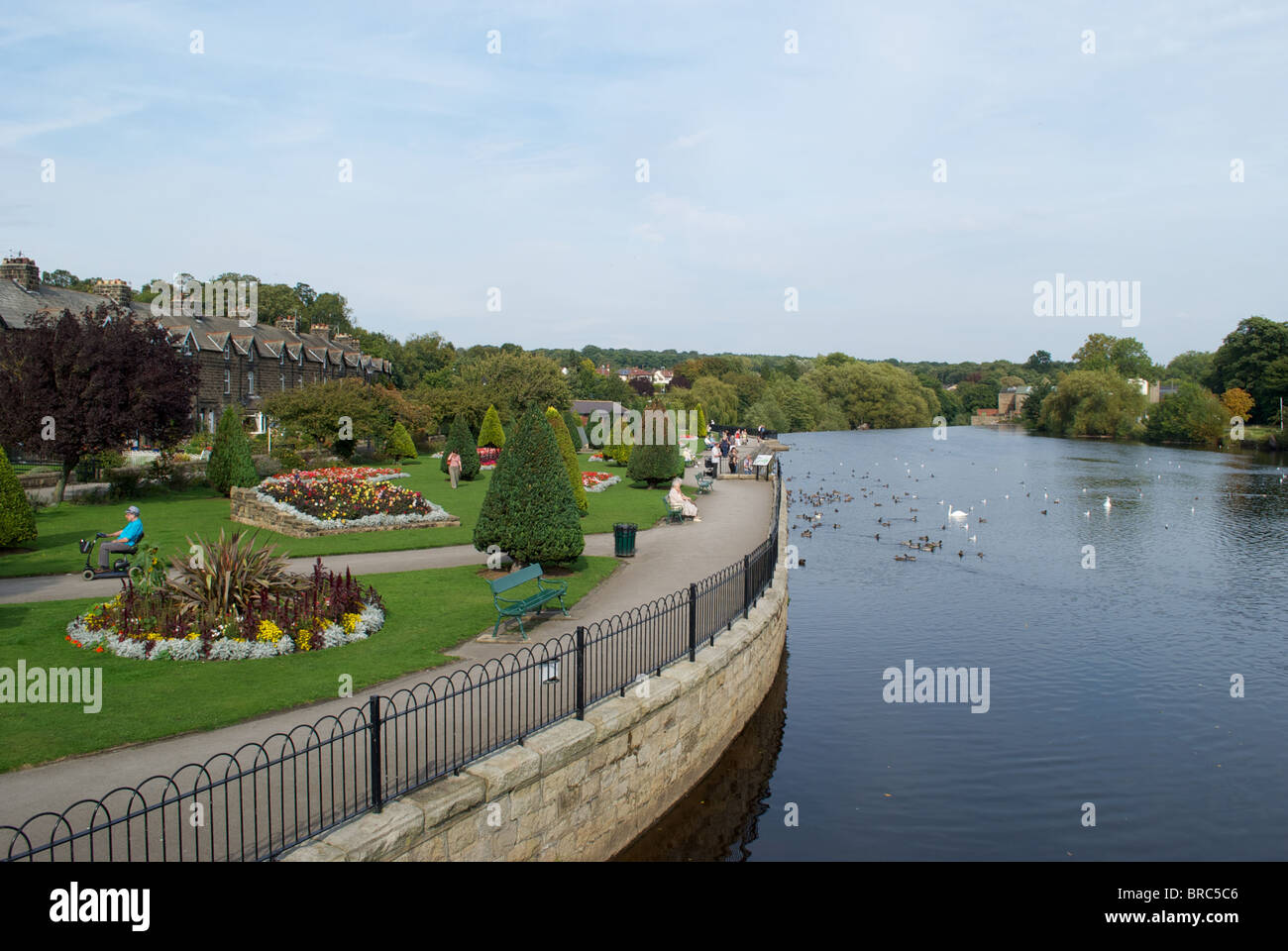 The gardens along the bank of the river Wharfe at Otley Leeds West Yorkshire UK Stock Photo