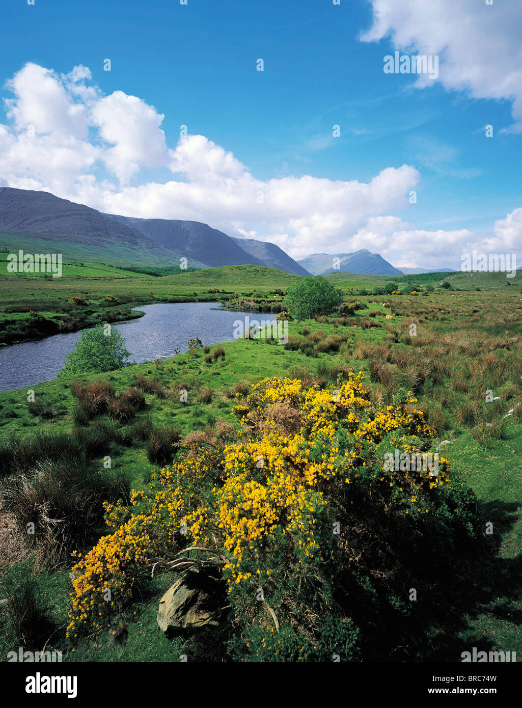 Co Mayo, Ireland; Landscape Between Westport And Leenane Stock Photo