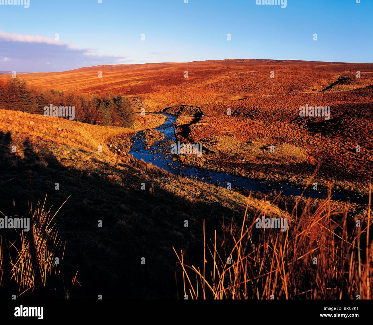 Glendun, Glens Of Antrim, Co Antrim, Ireland Stock Photo Alamy
