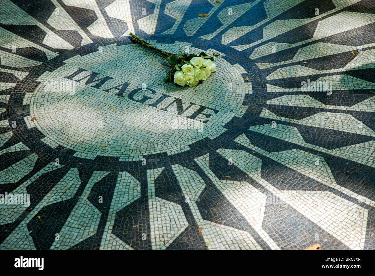 White roses placed on 'Imagine' - the John Lennon Memorial mosaic in Strawberry Fields inside Central Park, New York City USA Stock Photo