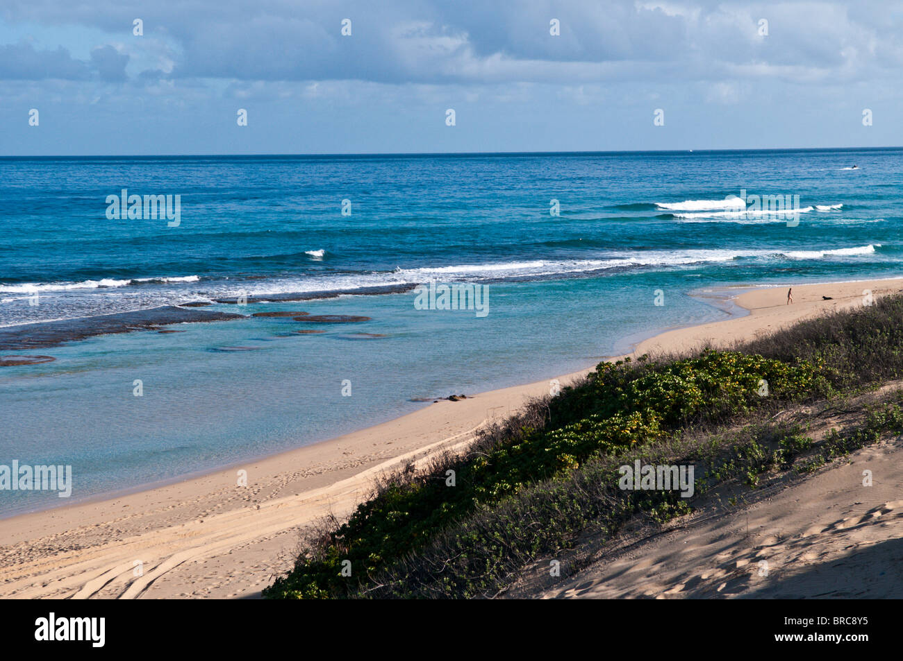 Queens pond hi-res stock photography and images - Alamy