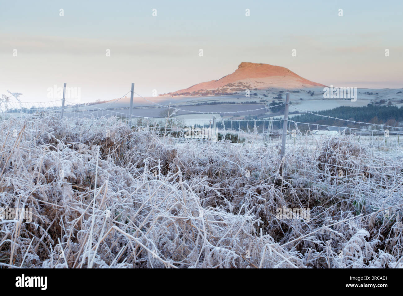 Roseberry Topping at sunrise in North York Moors national park with frost covered grasses in foreground Stock Photo