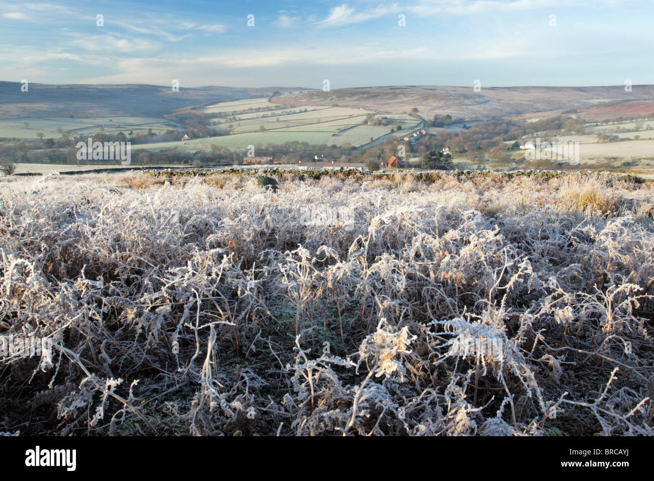 The village of Commondale in the North York Moors national park on a frosty morning Stock Photo