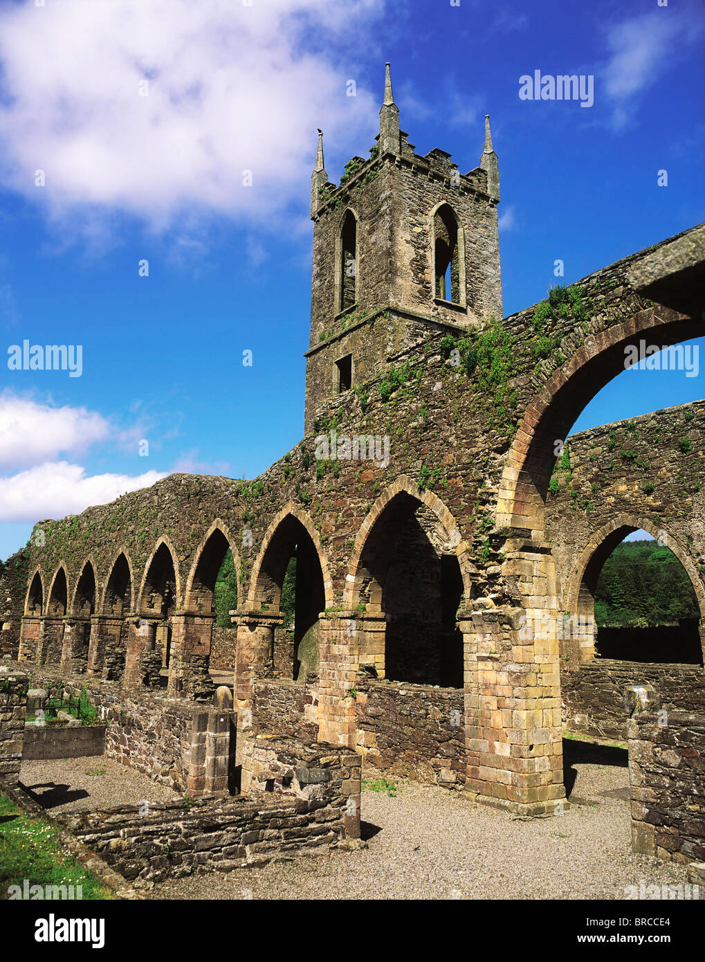 Baltinglass Abbey, Baltinglass, Co Wicklow, Ireland, Cistercian Abbey ...