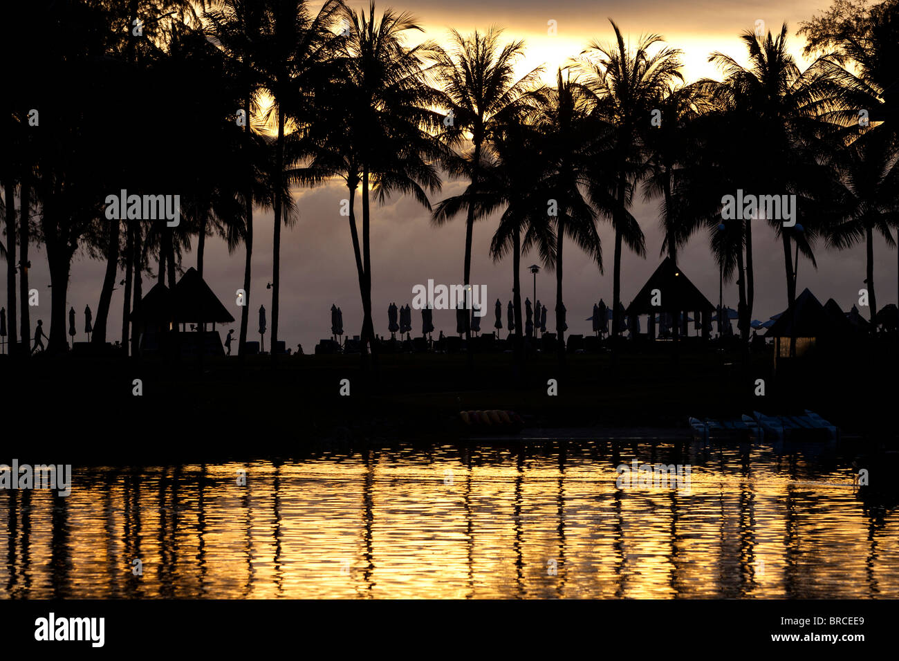 Palm tree silhouettes at sunset in Thailand Stock Photo