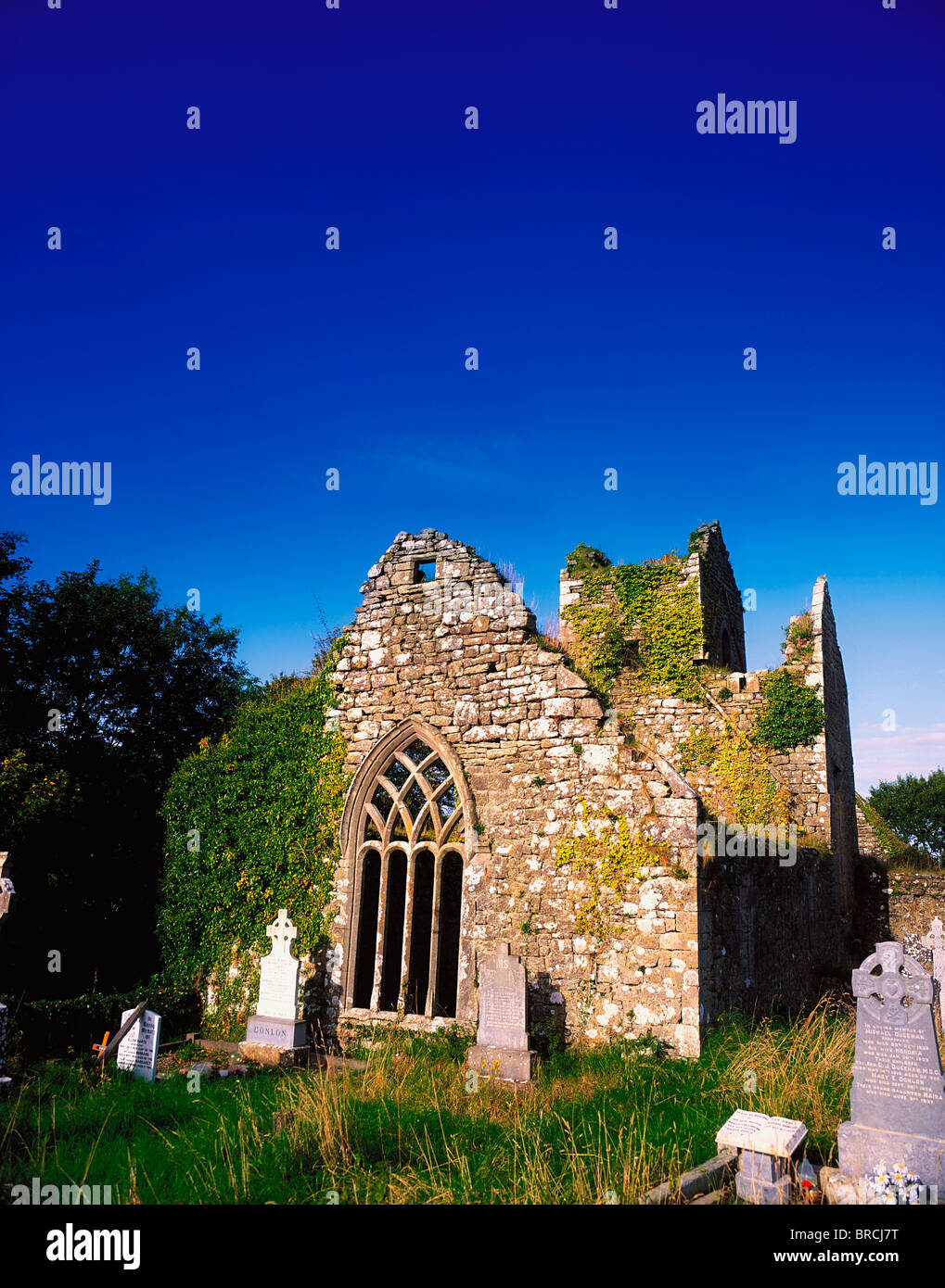 Ballindoon Friary, Co Sligo, Ireland; Dominican Monastery Founded In